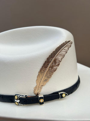 PLUMA LATON