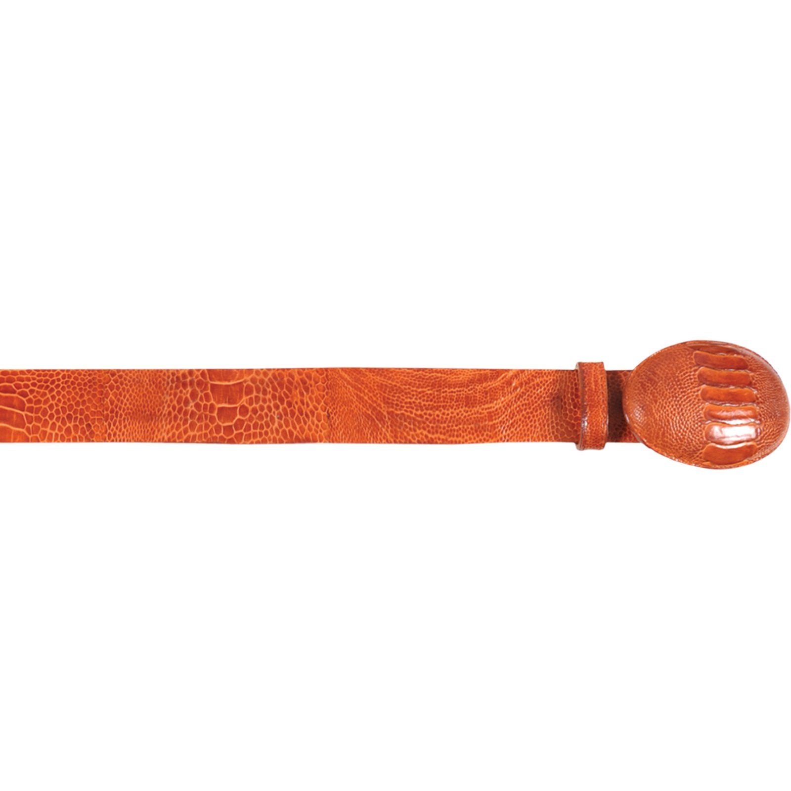 c111328_1600x.jpg
